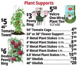 Ocean State Job Lot Plant Supports offer