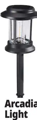 Ocean State Job Lot Arcadia Solar Light offer