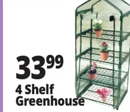 Ocean State Job Lot 4 Shelf Greenhouse offer
