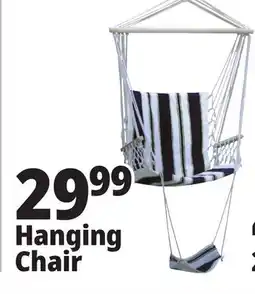 Ocean State Job Lot Hanging Chair offer
