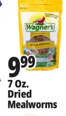 Ocean State Job Lot Wagner's Bird Meal Worms 7oz offer