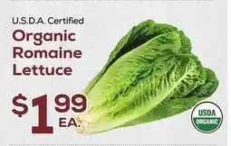 DeCicco & Sons Organic Romaine Lettuce offer