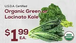 DeCicco & Sons Green or Lacinato Kale offer