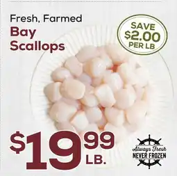 DeCicco & Sons Bay Scallops offer