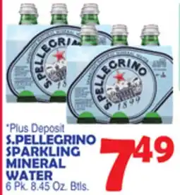 Bravo Supermarkets S. PELLEGRINO SPARKLING MINERAL WATER offer