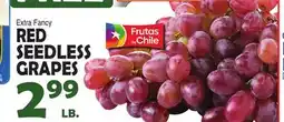 Bravo Supermarkets RED SEEDLESS GRAPES offer