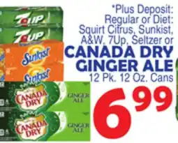 Bravo Supermarkets CANADA DRY GINGER ALE offer
