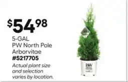 Lowe's 5-GAL PW North Pole Arborvitae offer