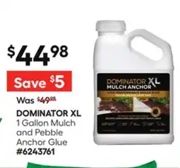 Lowe's 1 Gallon Mulch and Pebble Anchor Glue offer