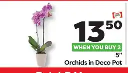 Weis Markets 5 Orchids in Deco Pot offer