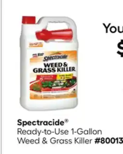 Lowe's Ready-to-Use 1-Gallon Weed & Grass Killer offer