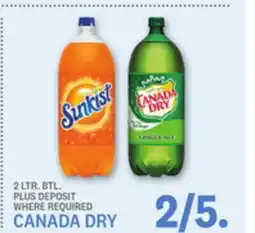 Kings Food Markets CANADA DRY offer