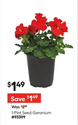 Lowe's 1-Pint Seed Geranium offer