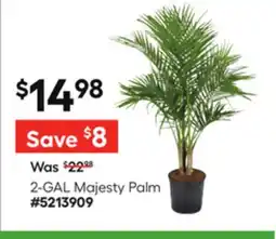 Lowe's 2-GAL Majesty Palm offer