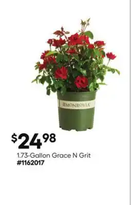 Lowe's 1.73-Gallon Grace N Grit offer