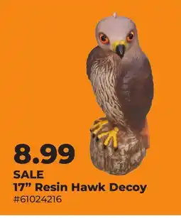 Runnings 17 Resin Hawk Decoy offer