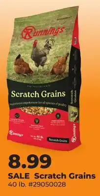 Runnings Scratch Grains offer