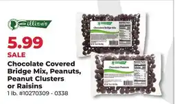 Runnings Eillien's Chocolate Covered Bridge Mix, Peanuts, Peanut Clusters or Raisins offer