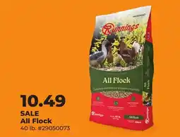 Runnings All Flock offer