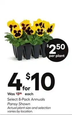 Lowe's Select 8-Pack Annuals offer