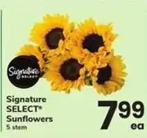 Safeway Signature SELECT Sunflowers offer