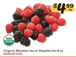 Winn Dixie Organic Blackberries or Raspberries offer