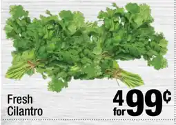 Super King Markets Fresh Cilantro offer