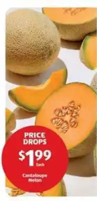 Aldi Cantaloupe Melon offer