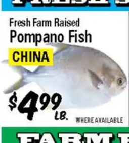 Western Beef Fresh Farm Raised Pompano Fish offer