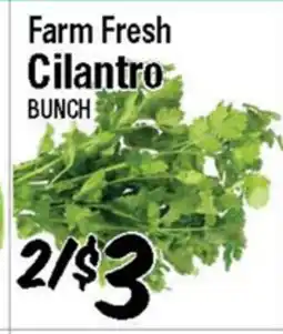 Western Beef Farm Fresh Cilantro BUNCH offer