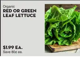 Bristol Farms Organic RED OR GREEN LEAF LETTUCE offer