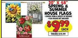 Ollie's 20 X 48 SPRING & SUMMER HOUSE FLAGS offer