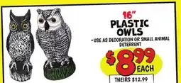 Ollie's 16 PLASTIC OWLS offer