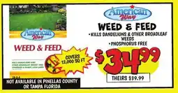 Ollie's American Way WEED & FEED offer