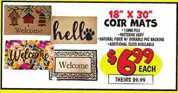 Ollie's 18 X 30 COIR MATS offer