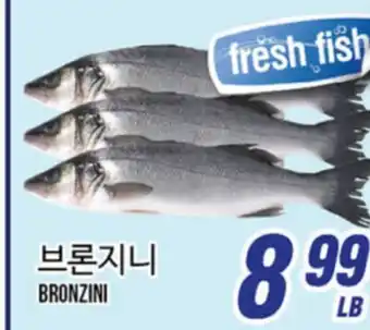 Joong Boo Market BRONZINI offer