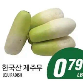 Joong Boo Market JEJU RADISH offer