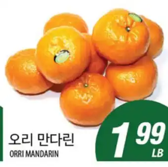 Joong Boo Market ORRI MANDARIN offer