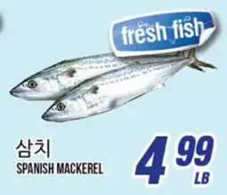 Joong Boo Market SPANISH MACKEREL offer