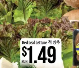 Hmart Red Leaf Lettuce offer