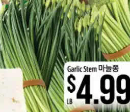 Hmart Garlic Stem offer