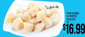 Hmart Fresh Scallop offer