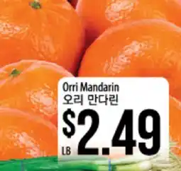 Hmart Orri Mandarin offer