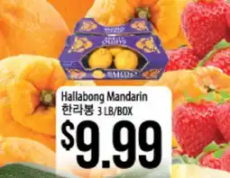 Hmart Hallabong Mandarin offer