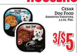 Trade Fair Supermarket CESAR DOG FOOD offer