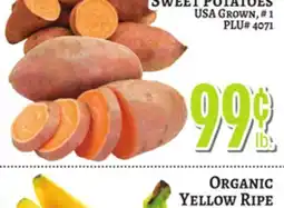 Trade Fair Supermarket SWEET POTATOES offer