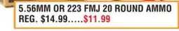 Dunham's Sports 5.56MM OR 223 FMJ 20 ROUND AMMO offer