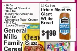 Food Universe General Mills Family Size Cereal offer