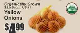 Food Universe Organically Grown Yellow Onions offer