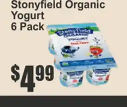 Key Food Stonyfield Organic Yogurt offer